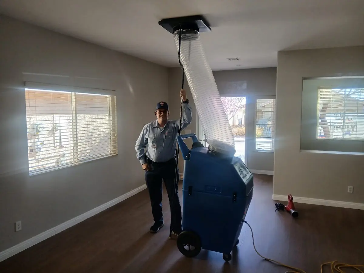 Professional Dryer Vent Cleaning work inside a Bloomingdale home